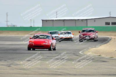 media/May-04-2025-Lucky Dog Racing (Sun) [[21629467aa]]/Turn 9 (115-130pm)/
